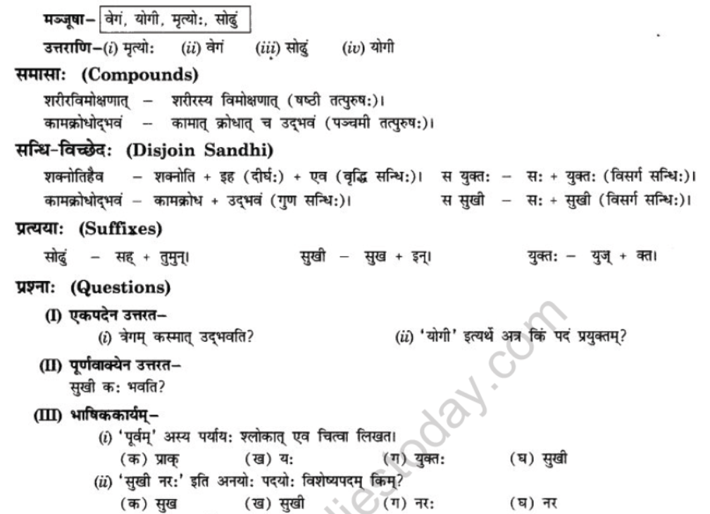NCERT-Solutions-Class-10-Sanskrit-Chapter-5-Abhasvashang-Man-6