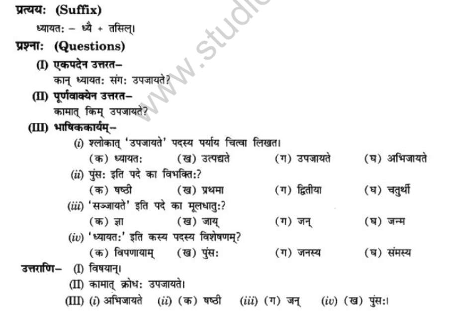 NCERT-Solutions-Class-10-Sanskrit-Chapter-5-Abhasvashang-Man-9