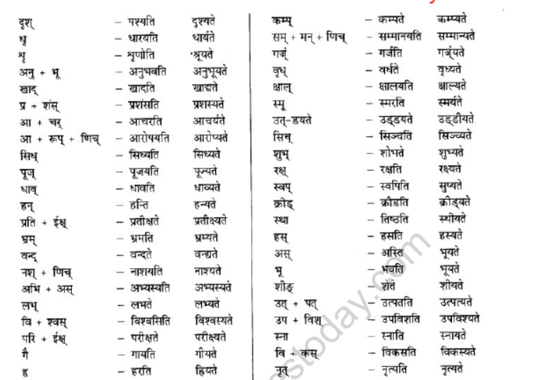 NCERT-Solutions-Class-10-Sanskrit-Chapter-5-Vachyam-15