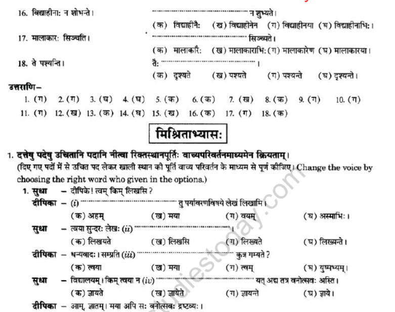 NCERT-Solutions-Class-10-Sanskrit-Chapter-5-Vachyam-29