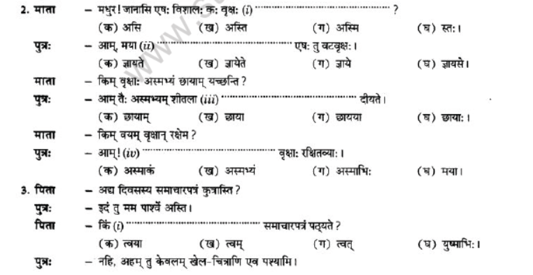 NCERT-Solutions-Class-10-Sanskrit-Chapter-5-Vachyam-30