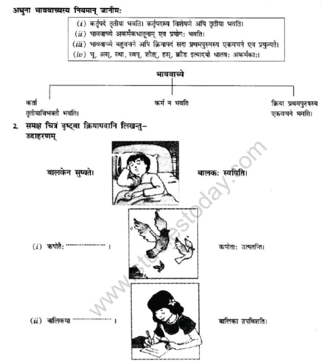 NCERT-Solutions-Class-10-Sanskrit-Chapter-5-Vachyam-7