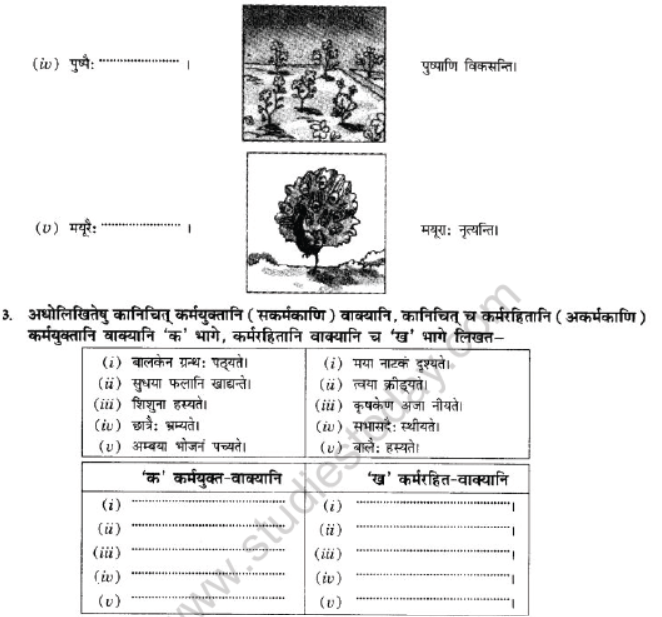 NCERT-Solutions-Class-10-Sanskrit-Chapter-5-Vachyam-9