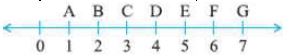 ""NCERT-Solution-Class-6-Maths-Understanding-Elementary-Shapes-1