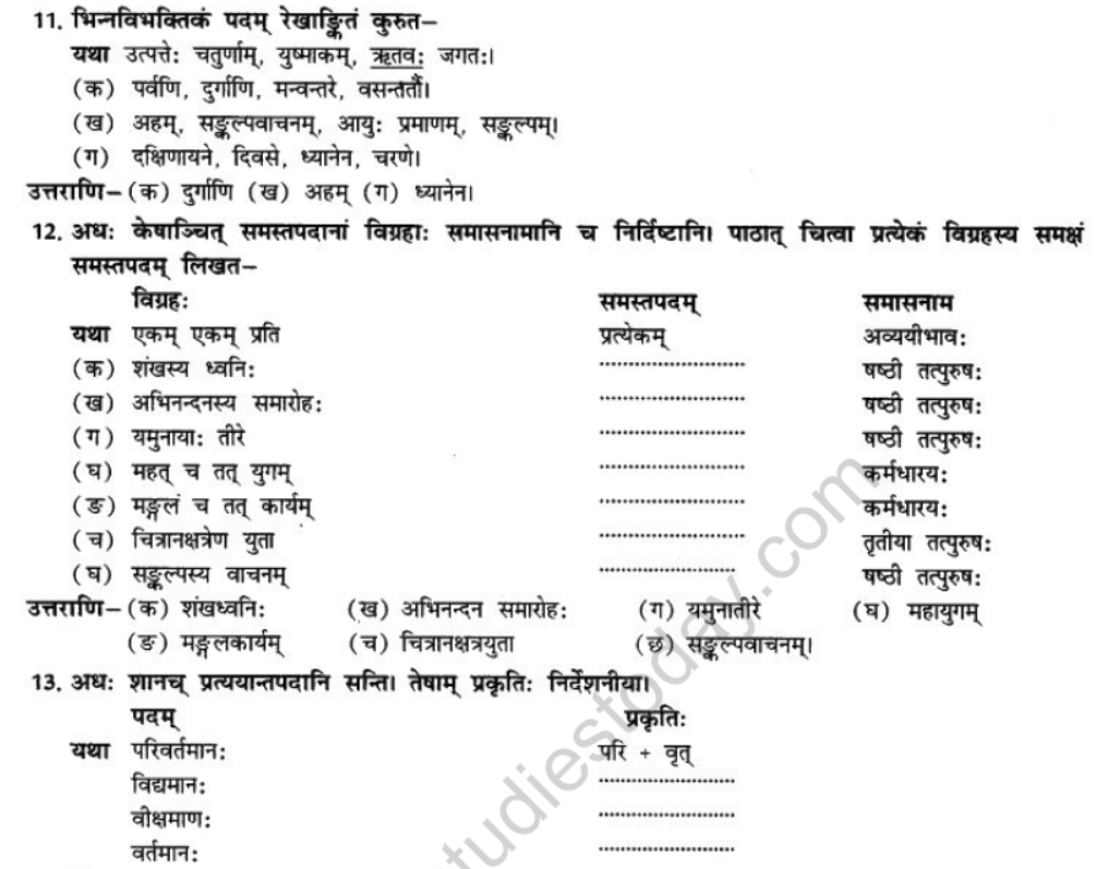 NCERT-Solutions-Class-10-Sanskrit-Chapter-11-kaloham-17