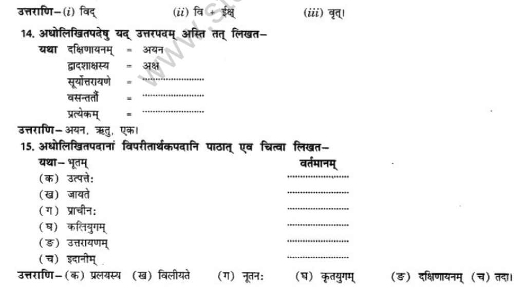 NCERT-Solutions-Class-10-Sanskrit-Chapter-11-kaloham-18