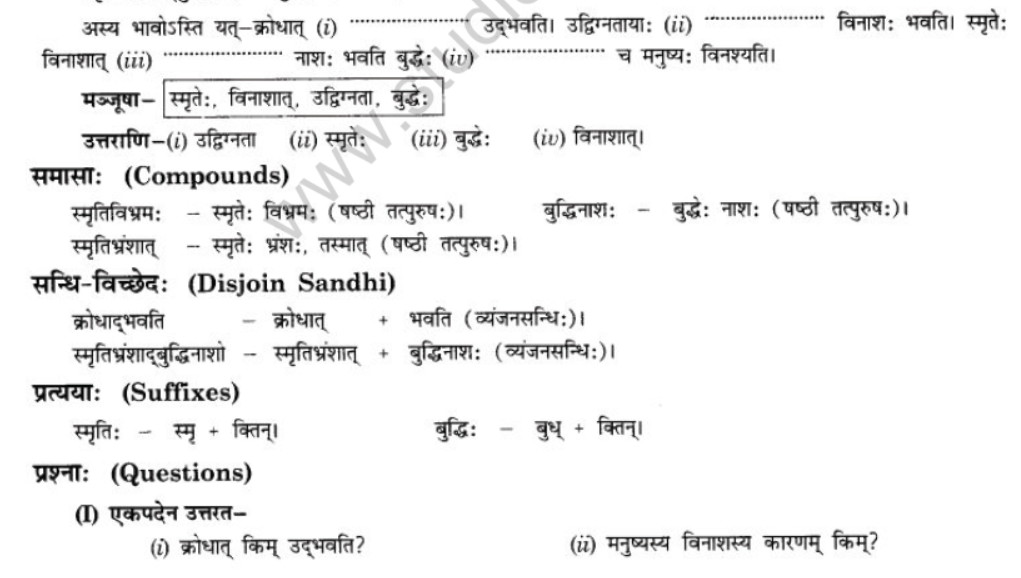 NCERT-Solutions-Class-10-Sanskrit-Chapter-5-Abhasvashang-Man-11