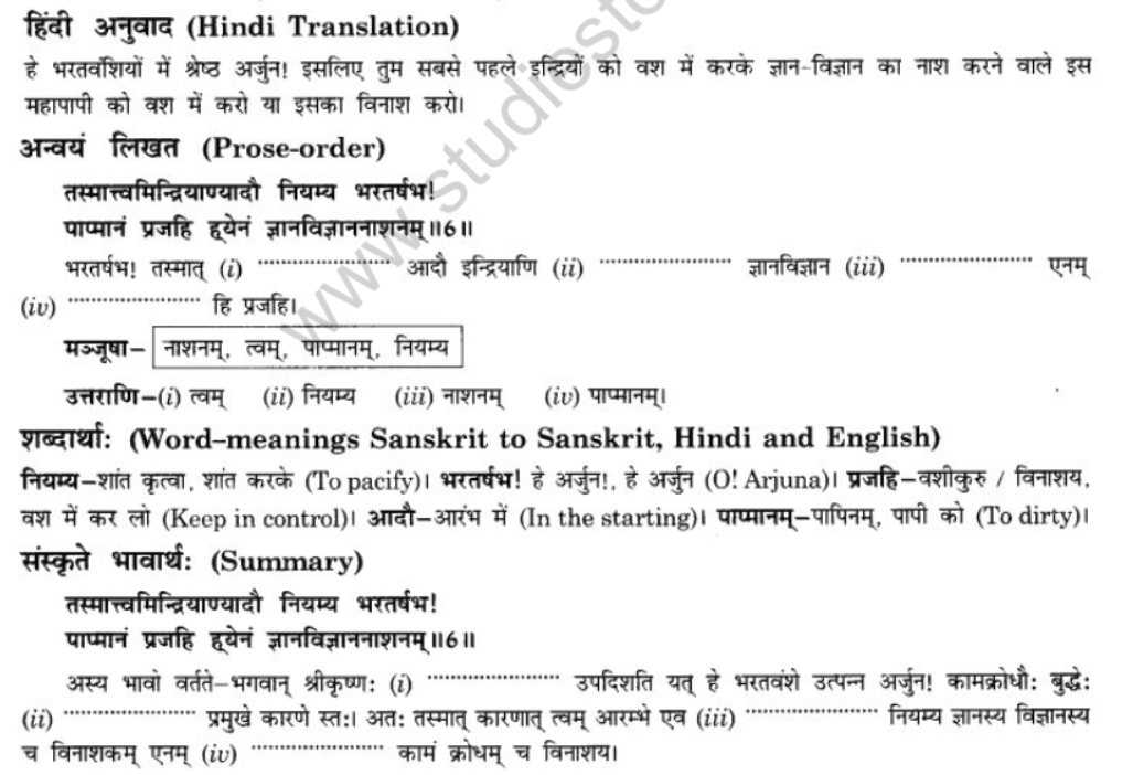 NCERT-Solutions-Class-10-Sanskrit-Chapter-5-Abhasvashang-Man-13