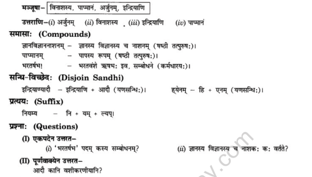 NCERT-Solutions-Class-10-Sanskrit-Chapter-5-Abhasvashang-Man-14