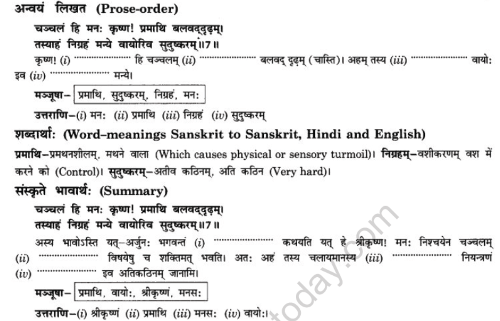 NCERT-Solutions-Class-10-Sanskrit-Chapter-5-Abhasvashang-Man-16