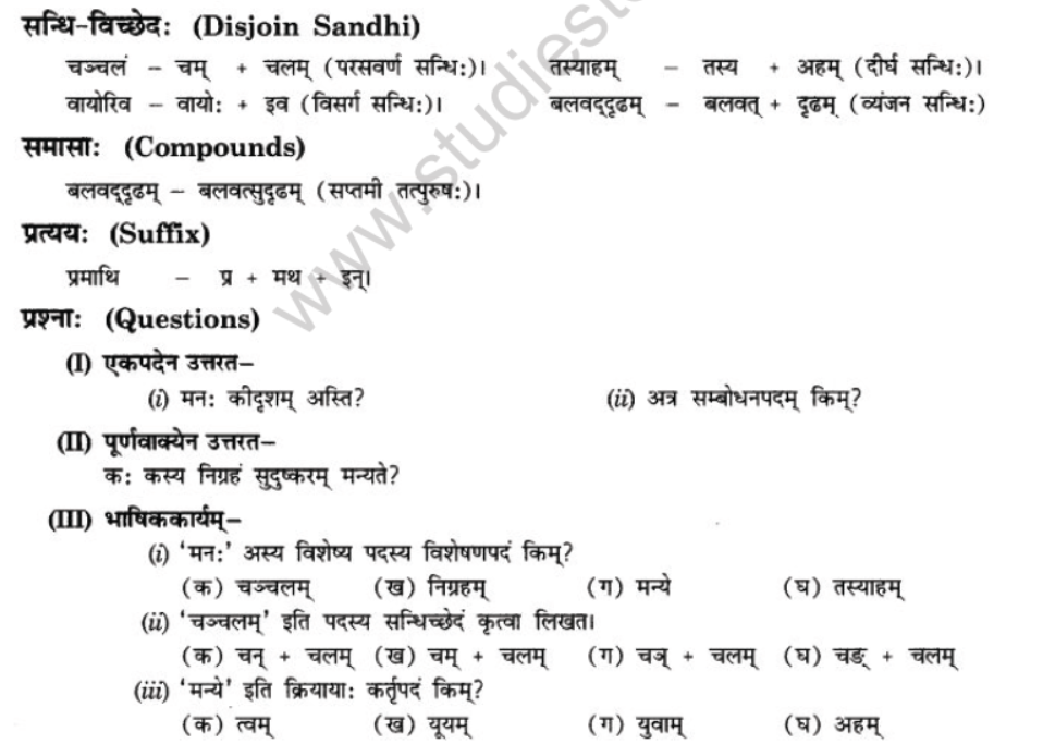 NCERT-Solutions-Class-10-Sanskrit-Chapter-5-Abhasvashang-Man-17