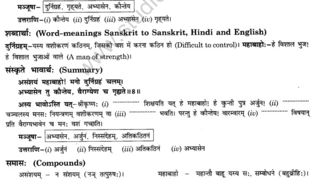 NCERT-Solutions-Class-10-Sanskrit-Chapter-5-Abhasvashang-Man-19