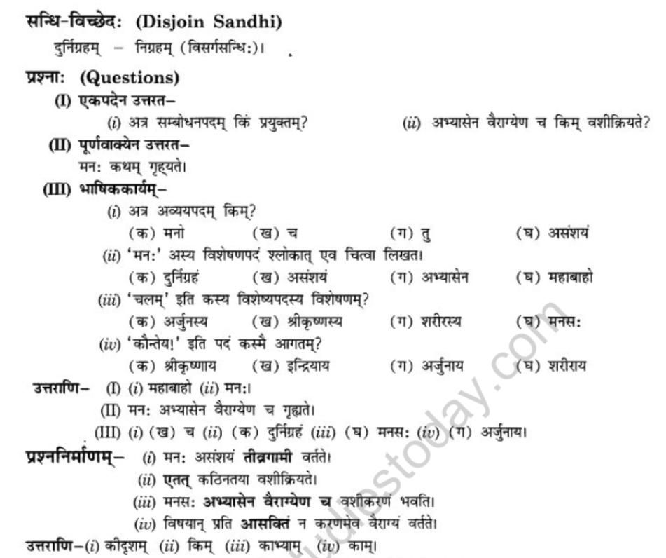 NCERT-Solutions-Class-10-Sanskrit-Chapter-5-Abhasvashang-Man-20