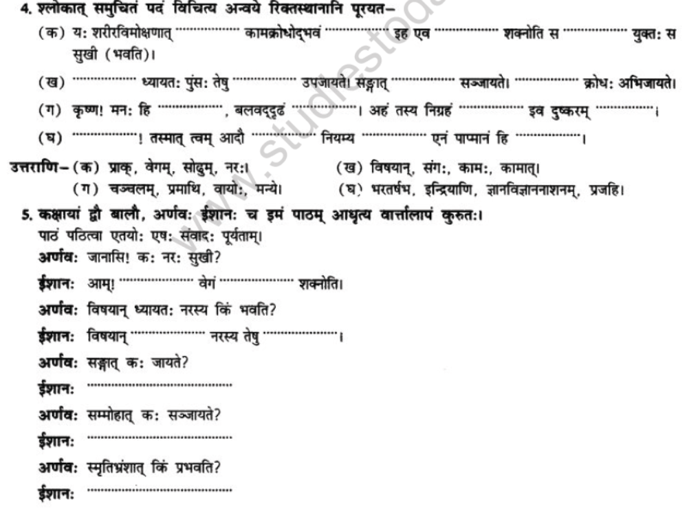 NCERT-Solutions-Class-10-Sanskrit-Chapter-5-Abhasvashang-Man-23