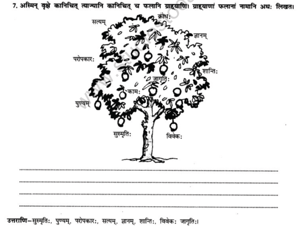 NCERT-Solutions-Class-10-Sanskrit-Chapter-5-Abhasvashang-Man-25