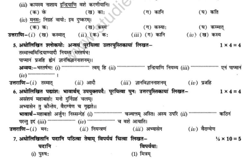 NCERT-Solutions-Class-10-Sanskrit-Chapter-5-Abhasvashang-Man-41