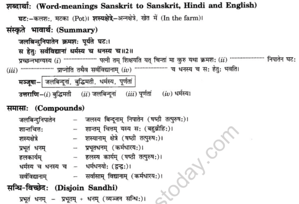 NCERT-Solutions-Class-10-Sanskrit-Chapter-6-Sadhuvrit-Samachret-14