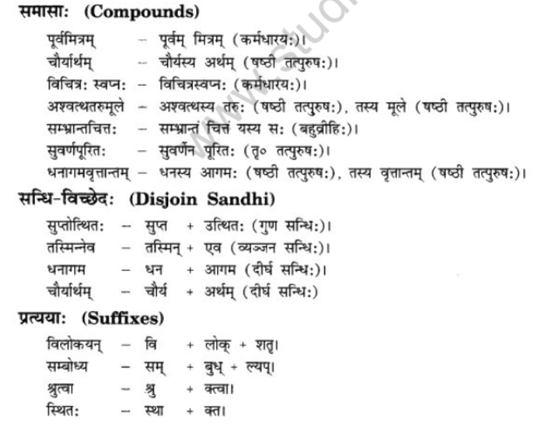 NCERT-Solutions-Class-10-Sanskrit-Chapter-6-Sadhuvrit-Samachret-17