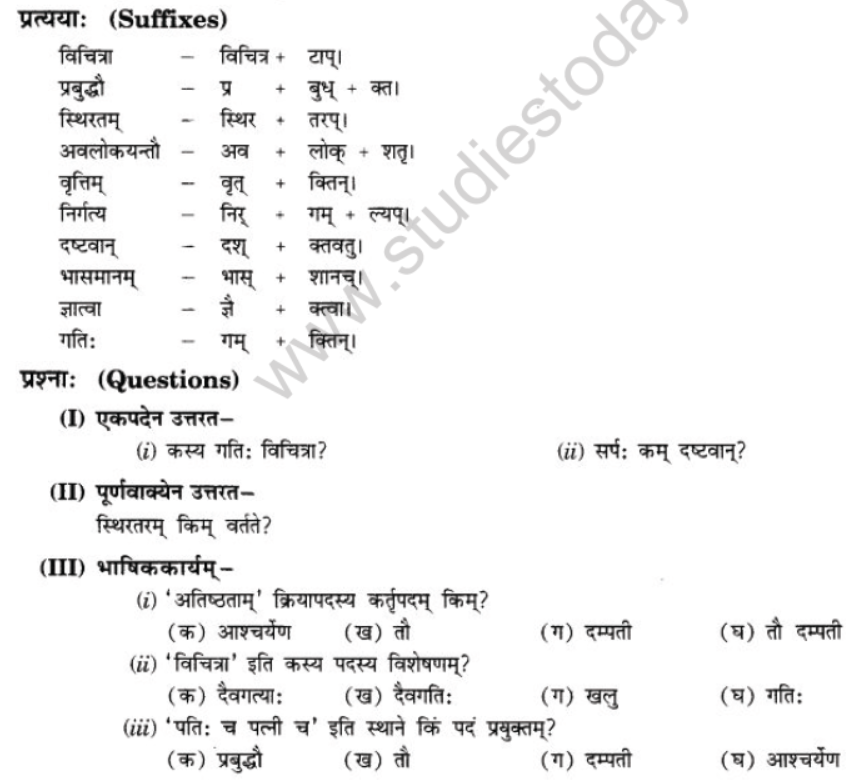 NCERT-Solutions-Class-10-Sanskrit-Chapter-6-Sadhuvrit-Samachret-25