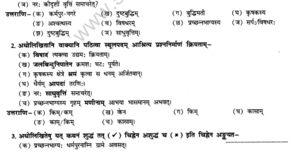 NCERT-Solutions-Class-10-Sanskrit-Chapter-6-Sadhuvrit-Samachret-27