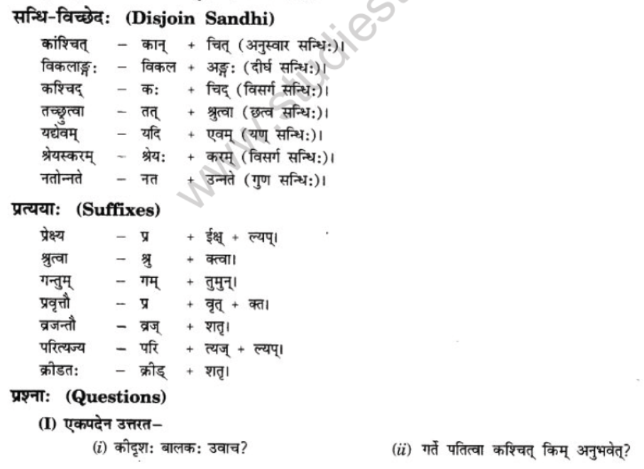NCERT-Solutions-Class-10-Sanskrit-Chapter-6-Sadhuvrit-Samachret-3