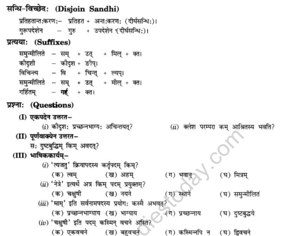 NCERT-Solutions-Class-10-Sanskrit-Chapter-6-Sadhuvrit-Samachret-6