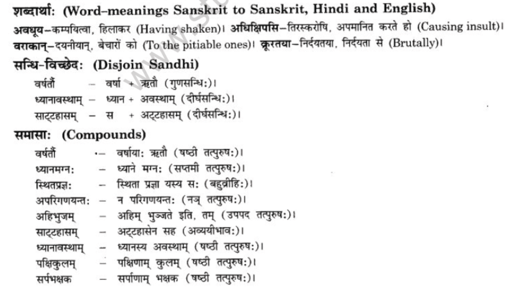 NCERT-Solutions-Class-10-Sanskrit-Chapter-7-Ramniya-ki-Srishti-Aesha-14