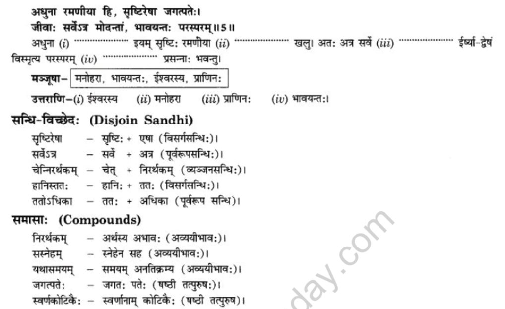 NCERT-Solutions-Class-10-Sanskrit-Chapter-7-Ramniya-ki-Srishti-Aesha-25