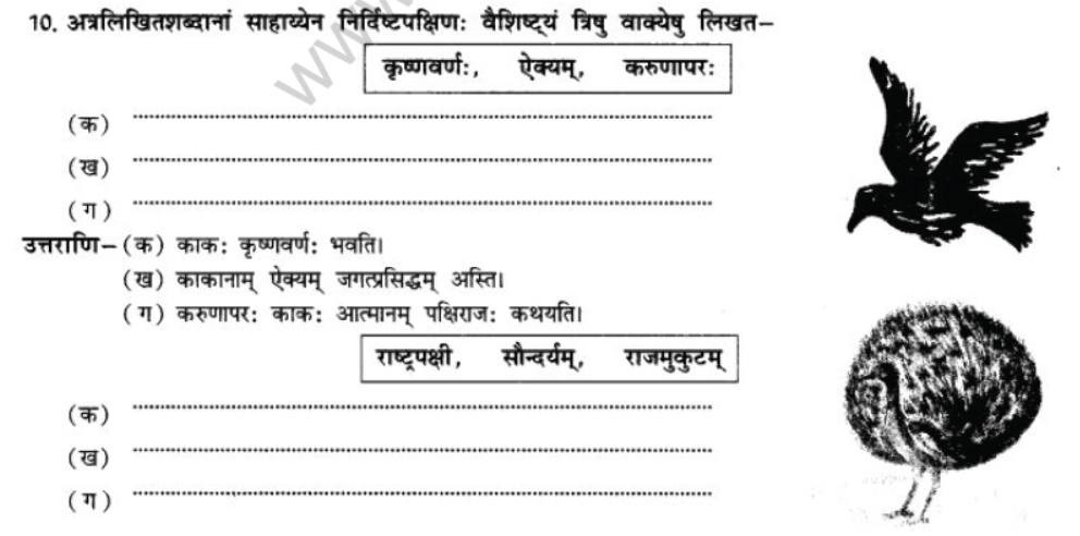 NCERT-Solutions-Class-10-Sanskrit-Chapter-7-Ramniya-ki-Srishti-Aesha-34
