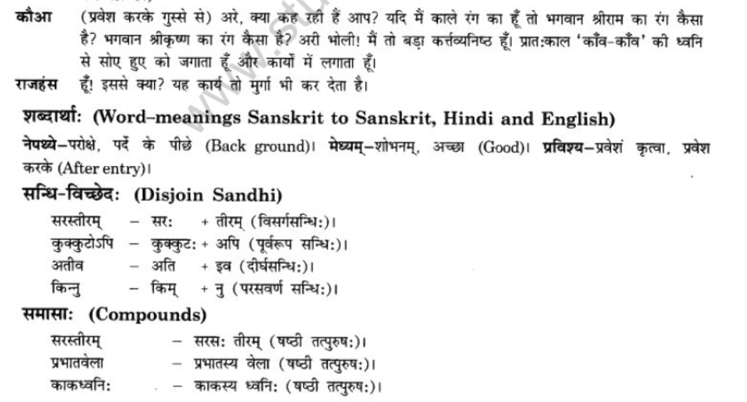NCERT-Solutions-Class-10-Sanskrit-Chapter-7-Ramniya-ki-Srishti-Aesha-4