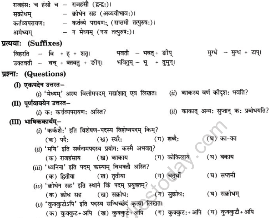 NCERT-Solutions-Class-10-Sanskrit-Chapter-7-Ramniya-ki-Srishti-Aesha-5