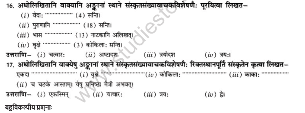 NCERT-Solutions-Class-10-Sanskrit-Chapter-7-Sandkhaya-10