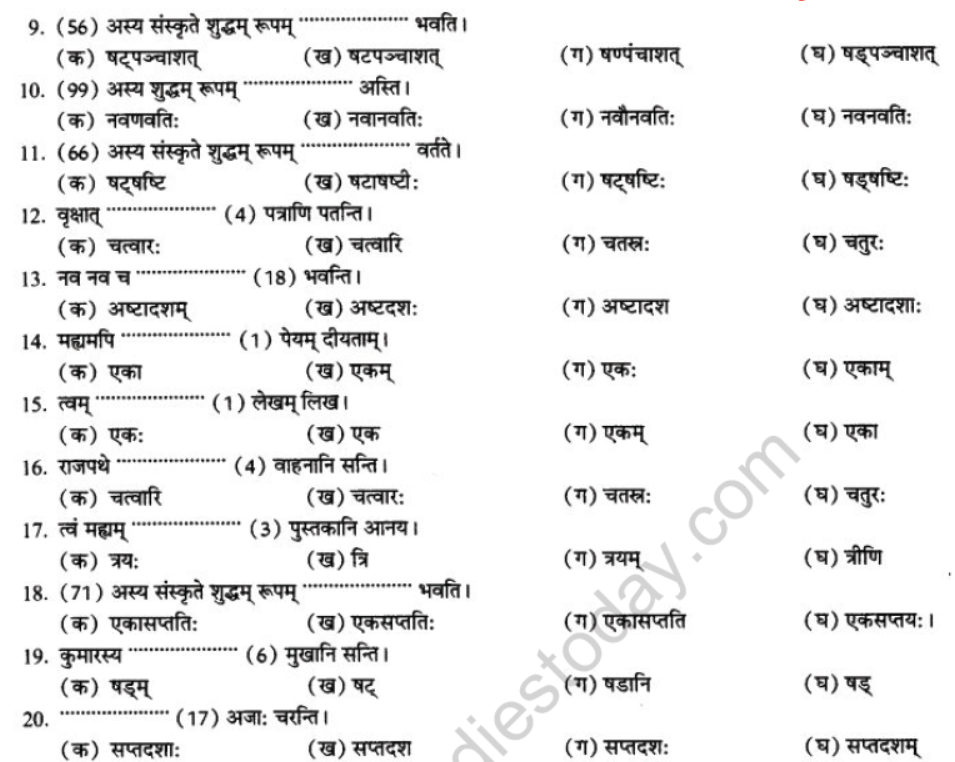 NCERT-Solutions-Class-10-Sanskrit-Chapter-7-Sandkhaya-12