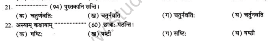 NCERT-Solutions-Class-10-Sanskrit-Chapter-7-Sandkhaya-13