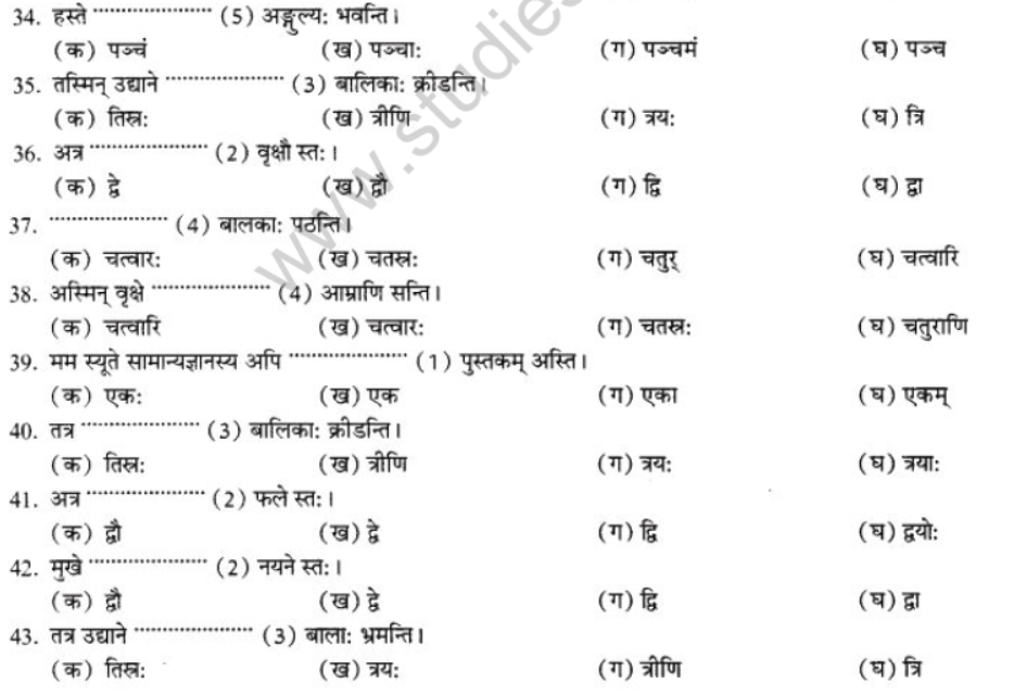 NCERT-Solutions-Class-10-Sanskrit-Chapter-7-Sandkhaya-15