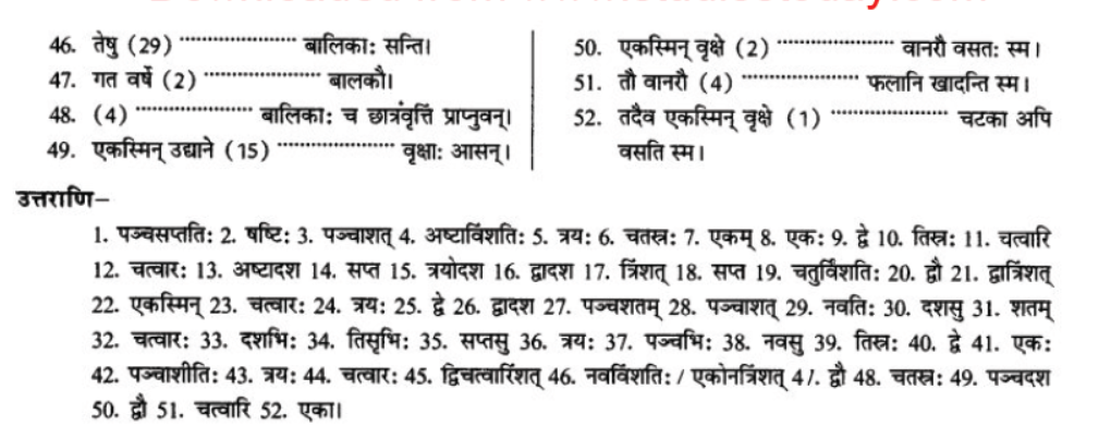 NCERT-Solutions-Class-10-Sanskrit-Chapter-7-Sandkhaya-18