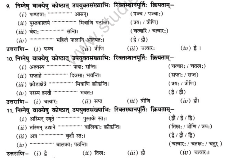 NCERT-Solutions-Class-10-Sanskrit-Chapter-7-Sandkhaya-8