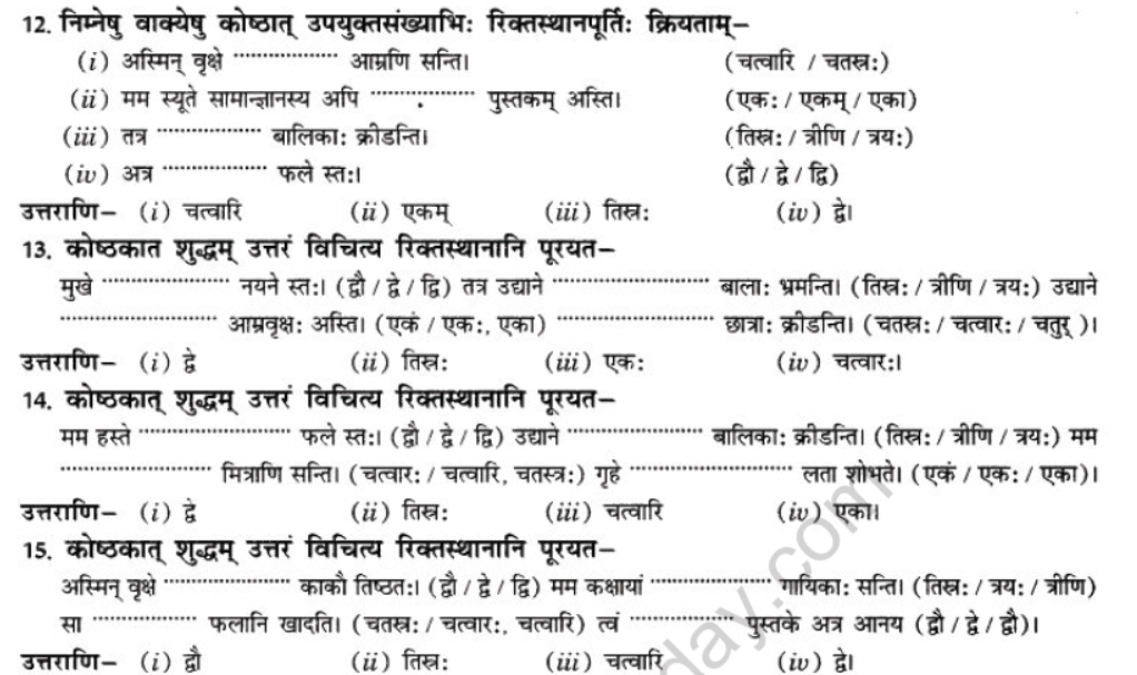 NCERT-Solutions-Class-10-Sanskrit-Chapter-7-Sandkhaya-9