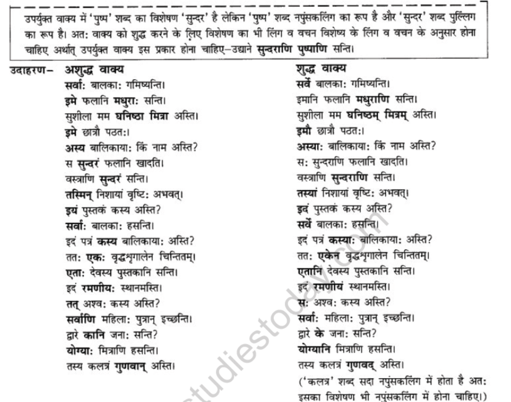 NCERT-Solutions-Class-10-Sanskrit-Chapter-8-vachana-lingam-purusha-lakara-Dusya-Samshedhanam-3