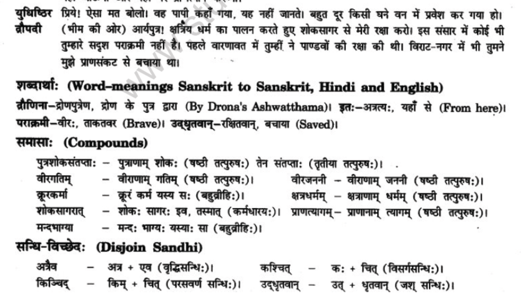 NCERT-Solutions-Class-10-Sanskrit-Chapter-9-Ratr-Sreshymev-hi-4