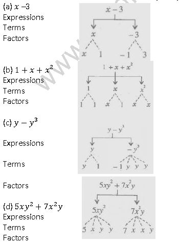 ""NCERT-Solutions-Class-7-Mathematics-Algebraic-Expressions-4