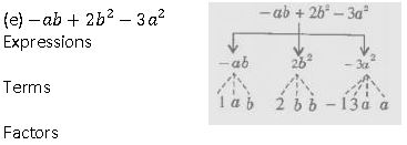 ""NCERT-Solutions-Class-7-Mathematics-Algebraic-Expressions-5