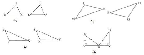 ""NCERT-Solutions-Class-7-Mathematics-Congruence-of-Triangle-2