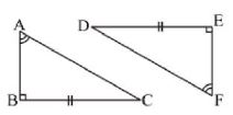 ""NCERT-Solutions-Class-7-Mathematics-Congruence-of-Triangle-3