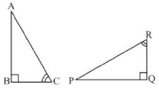 ""NCERT-Solutions-Class-7-Mathematics-Congruence-of-Triangle-4