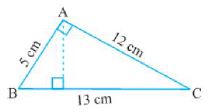 ""NCERT-Solutions-Class-7-Mathematics-Perimeter-and-Area-7