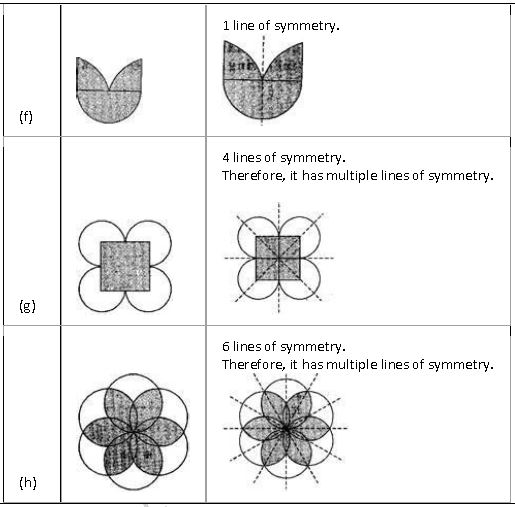 ""NCERT-Solutions-Class-7-Mathematics-Symmetry-10