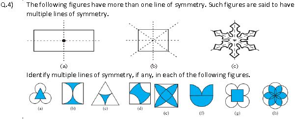 ""NCERT-Solutions-Class-7-Mathematics-Symmetry-7
