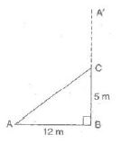 ""NCERT-Solutions-Class-7-Mathematics-Triangle-and-its-properties-3