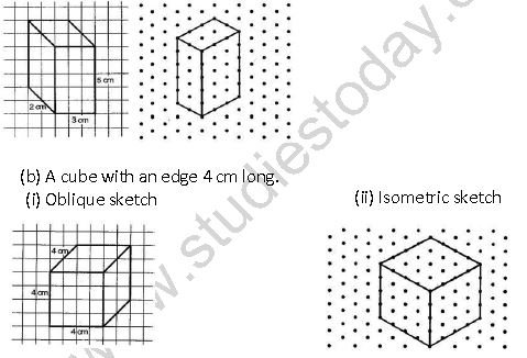 ""NCERT-Solutions-Class-7-Mathematics-Visualizing-Solid-Shapes-6